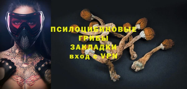 шишки Алзамай