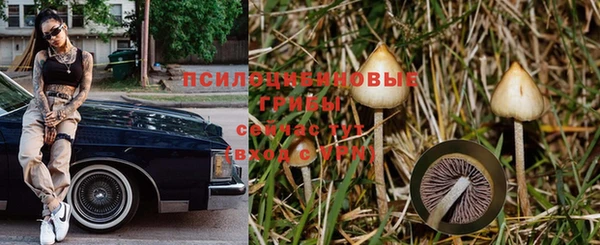 хмурый Алексеевка