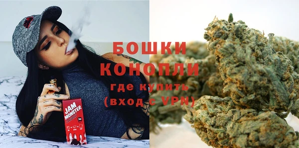 шишки Алзамай