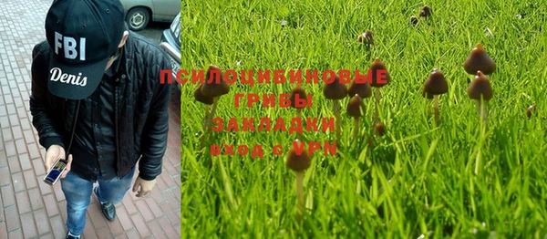 хмурый Алексеевка