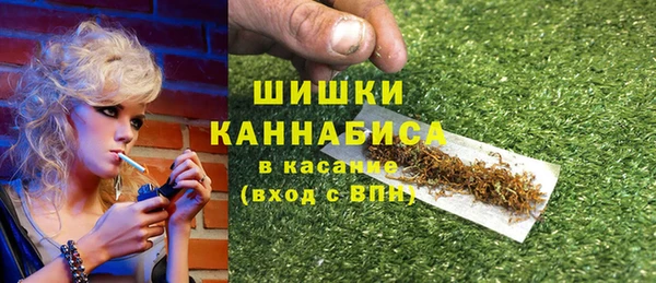 шишки Алзамай