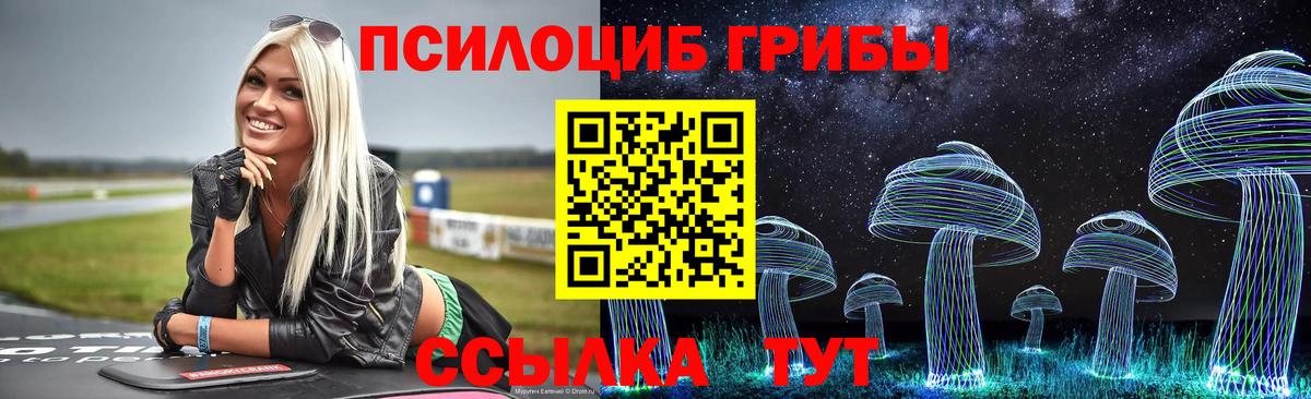 Галлюциногенные грибы MAGIC MUSHROOMS  Вход с VPN  Махачкала 